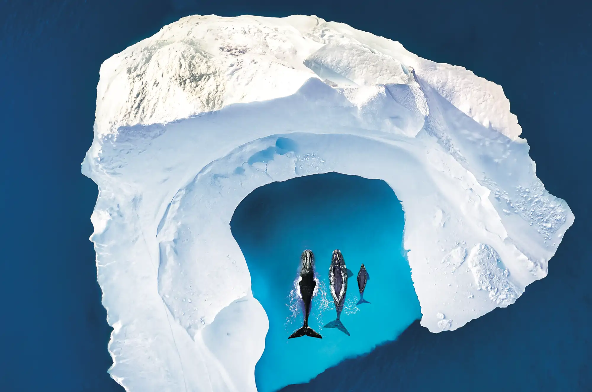 Captura de pantalla 2025 12 29 a las 17 54 40