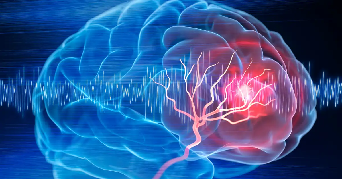 Analizan el cerebro y descubren cómo el cerebro separa el ‘Yo’ del mundo exterior