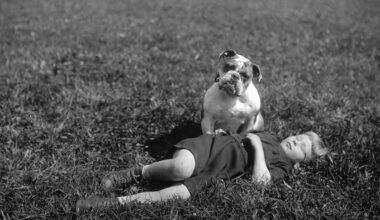 Niño durmiendo en un campo con su perro sentado a su lado. Nueva York, ca. 1912-1918