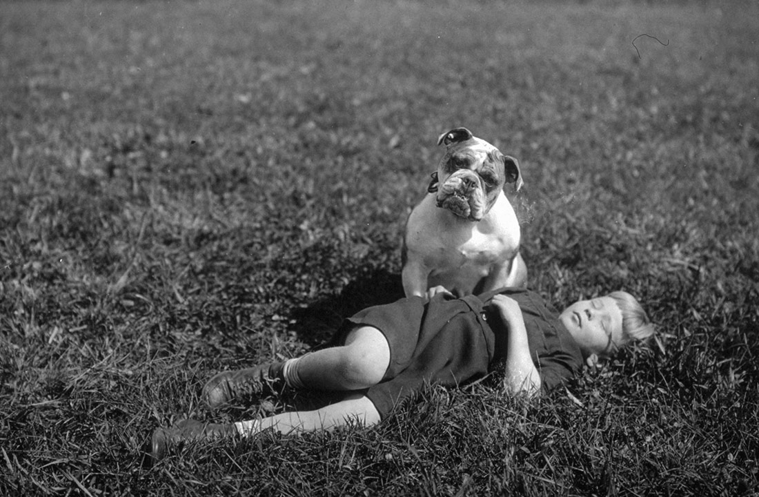 Niño durmiendo en un campo con su perro sentado a su lado. Nueva York, ca. 1912-1918