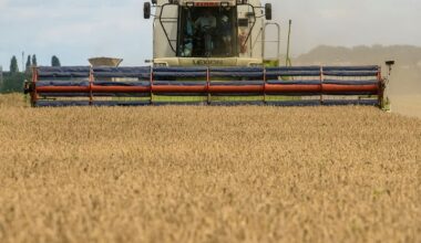 APK-Inform eleva las previsiones de cosecha y exportación de cereales en Ucrania para 2025/26