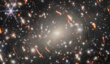 contacto@nmas.com.mx