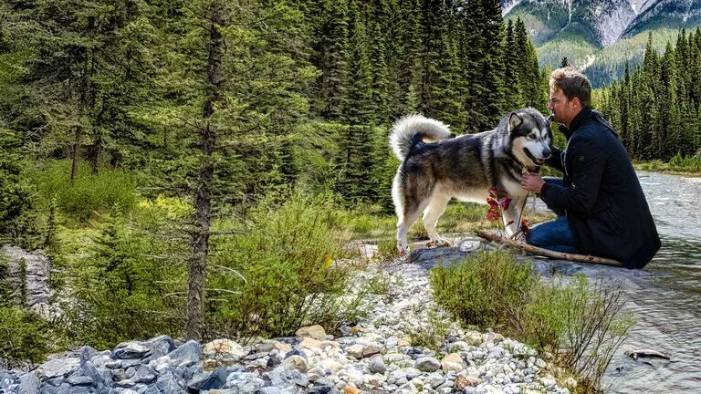 La nueva película de Netflix cuenta la atrapante historia de un dueño y su perro que se pierden en un enorme bosque