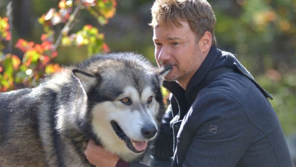 Está en Netflix, arrasa y es ideal para maratonear en el inicio de 2026