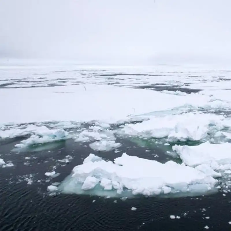 El deshiero del hielo marino puede causar temperaturas más bajas