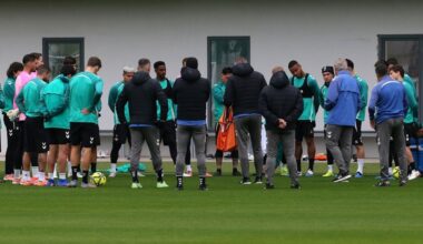 El Betis está obligado a crecer para terminar en la zona Pellegrini