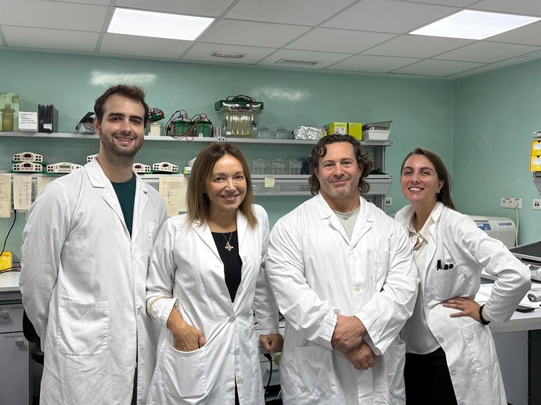 estudio hígado graso