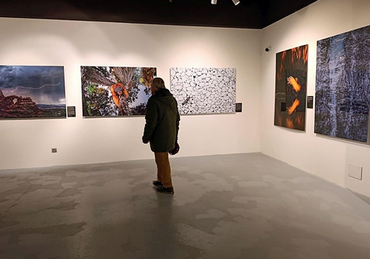 Imagen principal - La exposición fotográfica que convierte a Burgos en un escaparate mundial de la naturaleza