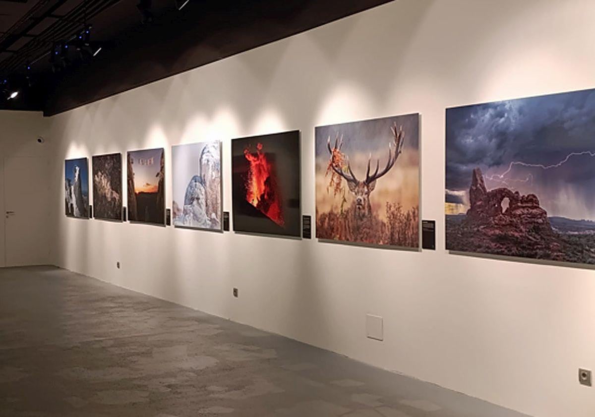 Imagen principal - La exposición fotográfica que convierte a Burgos en un escaparate mundial de la naturaleza