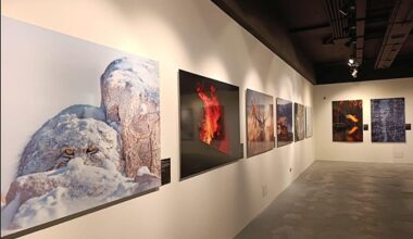 La exposición fotográfica que convierte a Burgos en un escaparate mundial de la naturaleza