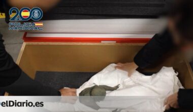 recuperadas varias esculturas romanas de bronce expoliadas hace casi 20 años