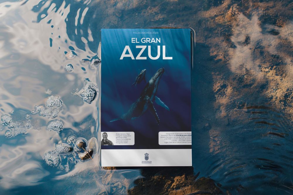 Ayuntamiento de Majadahonda