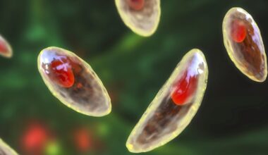 parásitos que pueden llegar al plato (y cómo evitarlo)