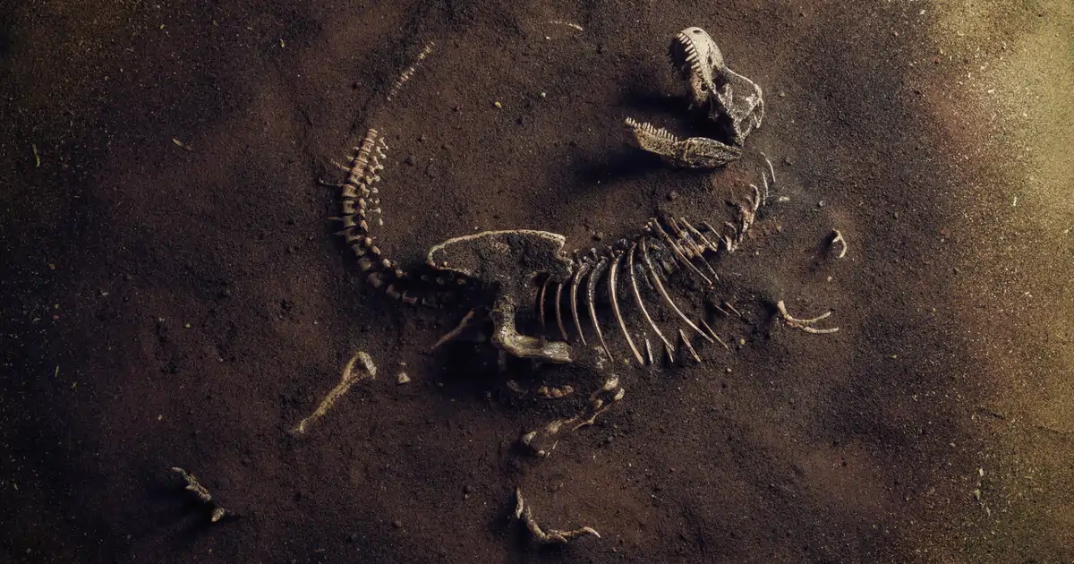 el reloj de la evolución podría avanzar a distintas velocidades