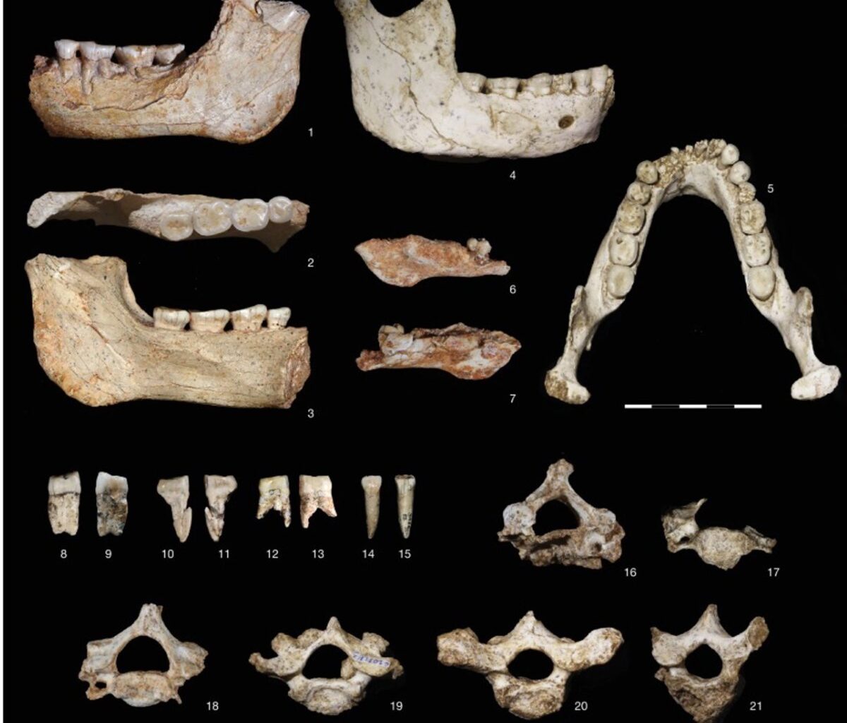 Hallan en Marruecos restos de homínidos de hace 770.000 años que revelan un linaje africano anterior al Homo sapiens