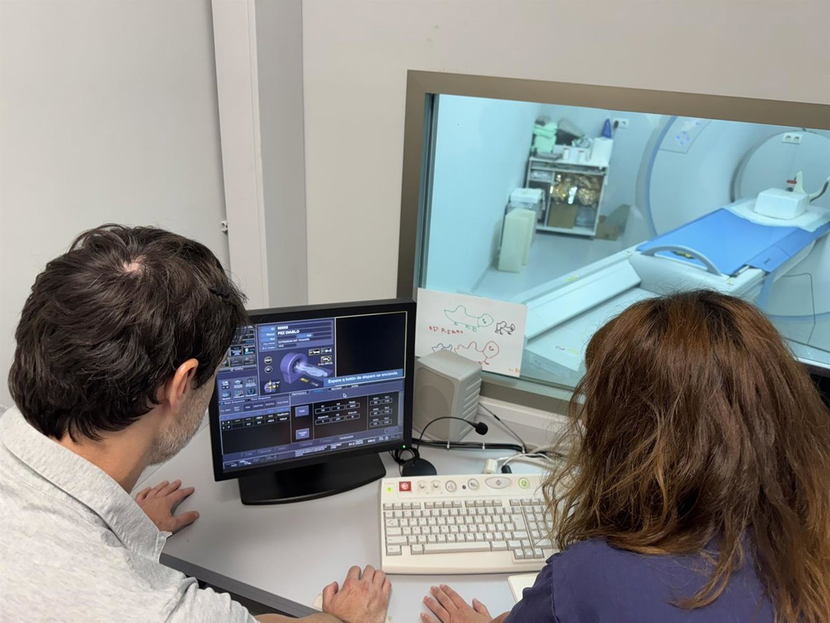 Madrid acogerá a finales de enero el primer curso internacional sobre tomografía computarizada con conteo de fotones