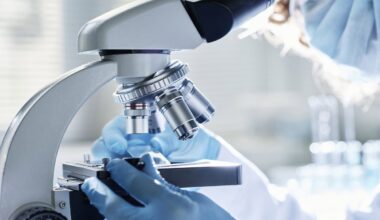 Un estudio internacional revela el mecanismo por el que los metabolitos guían las decisiones celulares