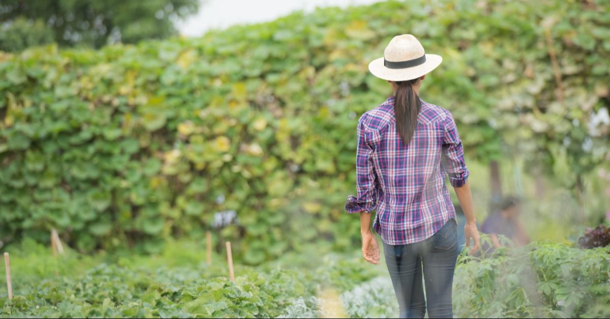 Fundación Bancolombia y Corporación Interactuar se unen para impulsar el microcrédito