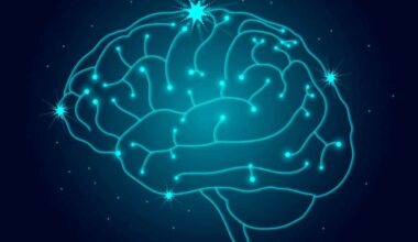 Hallan una región cerebral vinculada a la presión arterial alta