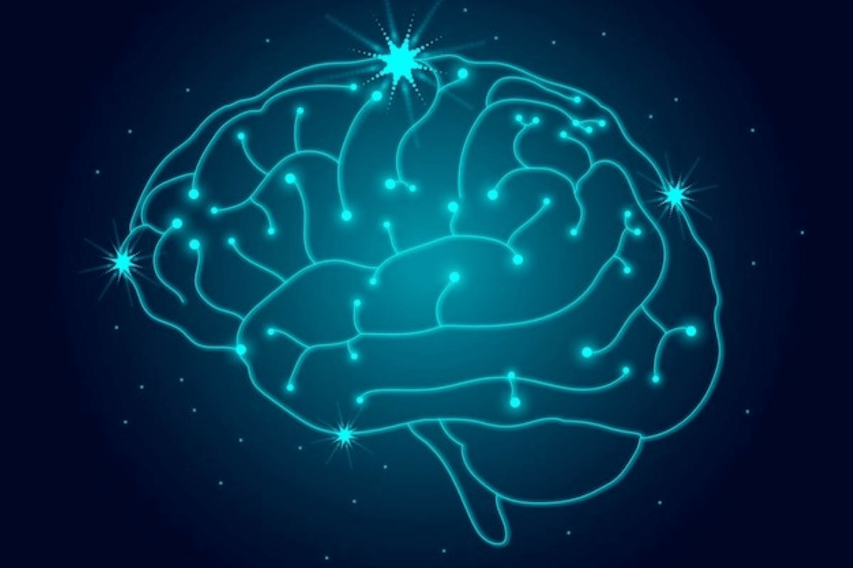 Hallan una región cerebral vinculada a la presión arterial alta