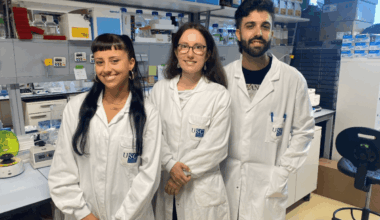 Hallados nuevos factores biológicos clave sobre el aneurisma de aorta abdominal