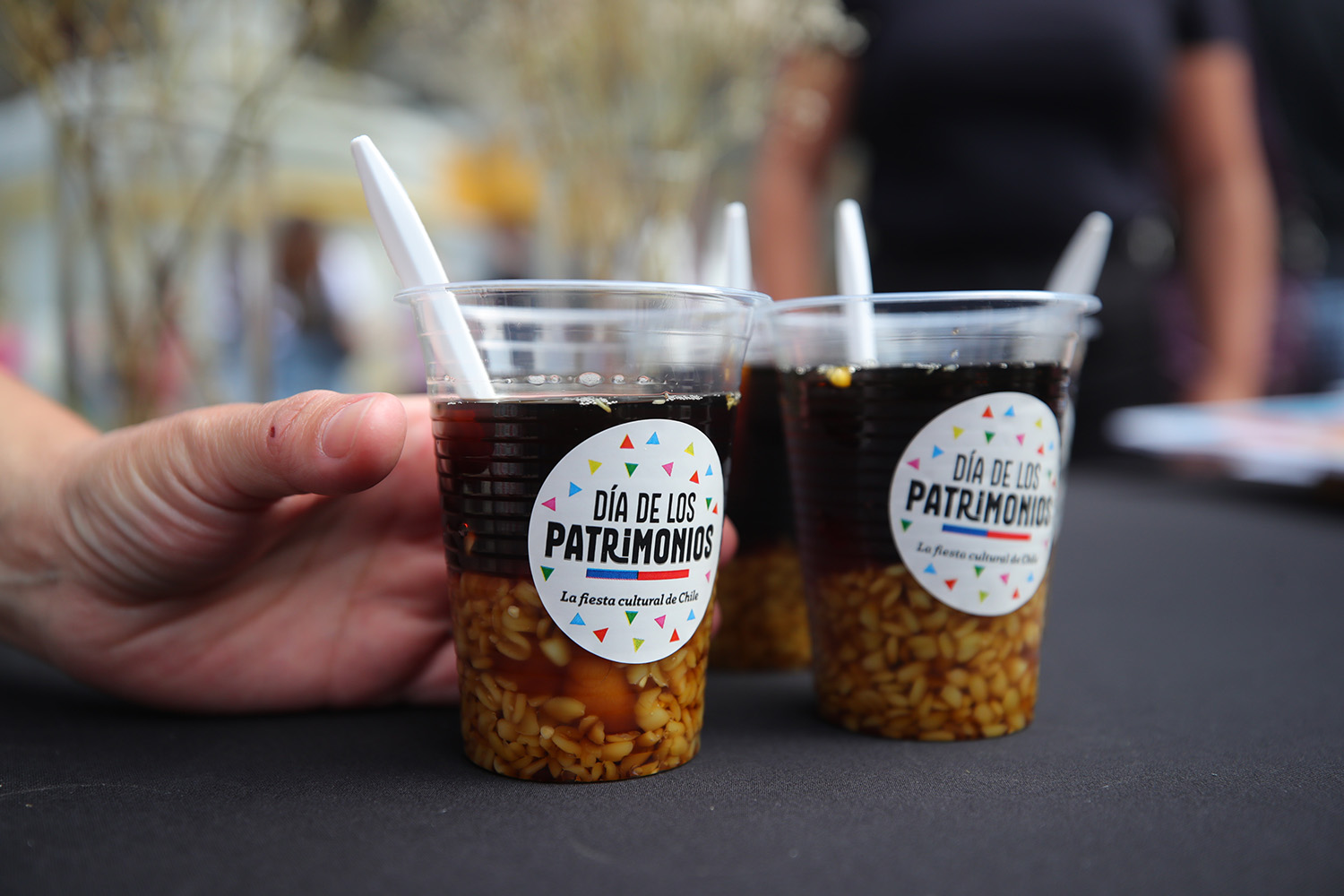 lanzamiento del Día de los Patrimonios en verano