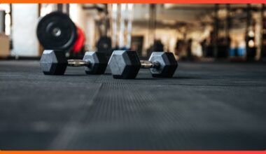 guía rápida y comparativa 2026