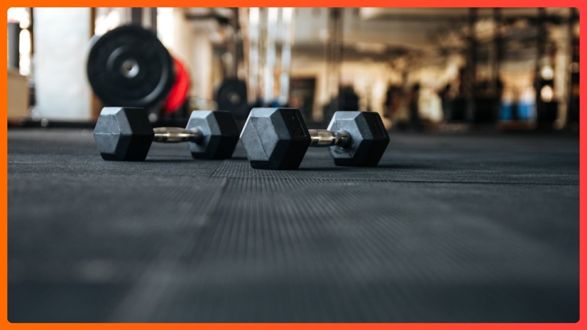 guía rápida y comparativa 2026