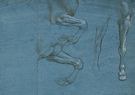 Imagen secundaria 1 - En la imagen principal, uno de los integrantes del grupo analizando con el hisopo la carta del tío abuelo de Leonardo; abajo, el dibujo 'estudio de las patas delanteras de un caballo', atribuido a Da Vinci; a la derecha, el dibujo 'Holy Child', objeto principal del estudio