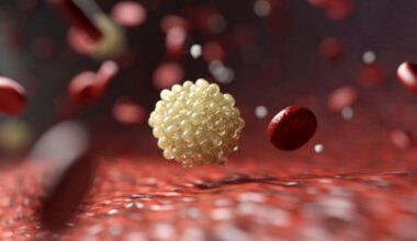 Un estudio español revela cómo una bacteria respiratoria obtiene lípidos del cuerpo y se dirige a tejidos ricos en grasa