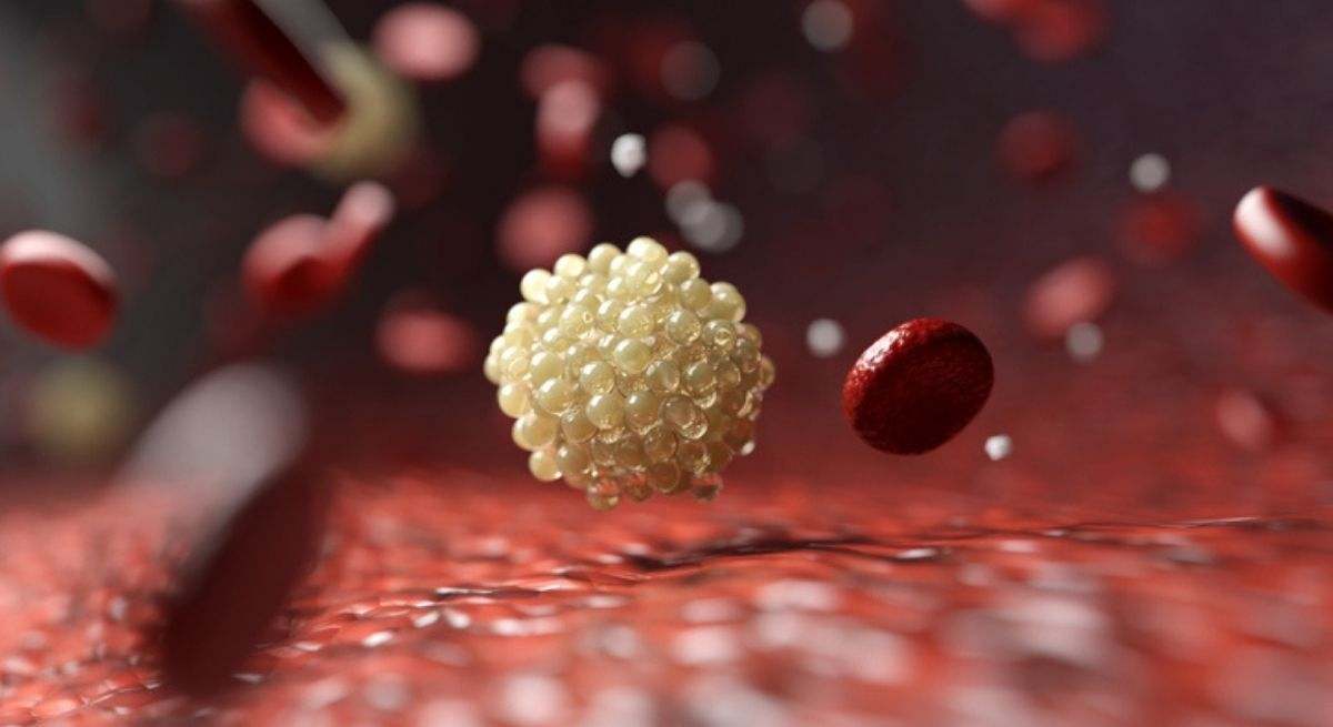 Un estudio español revela cómo una bacteria respiratoria obtiene lípidos del cuerpo y se dirige a tejidos ricos en grasa