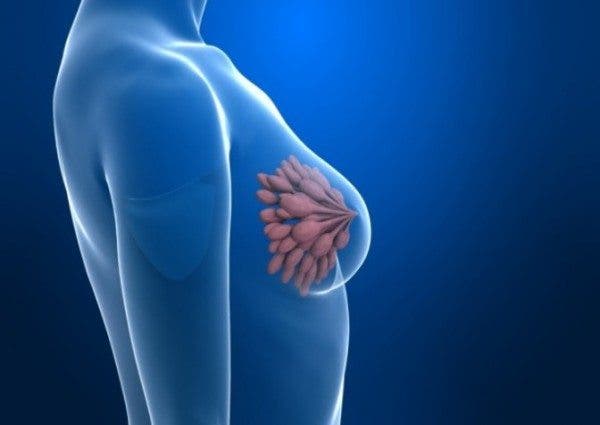 investigación cáncer mama