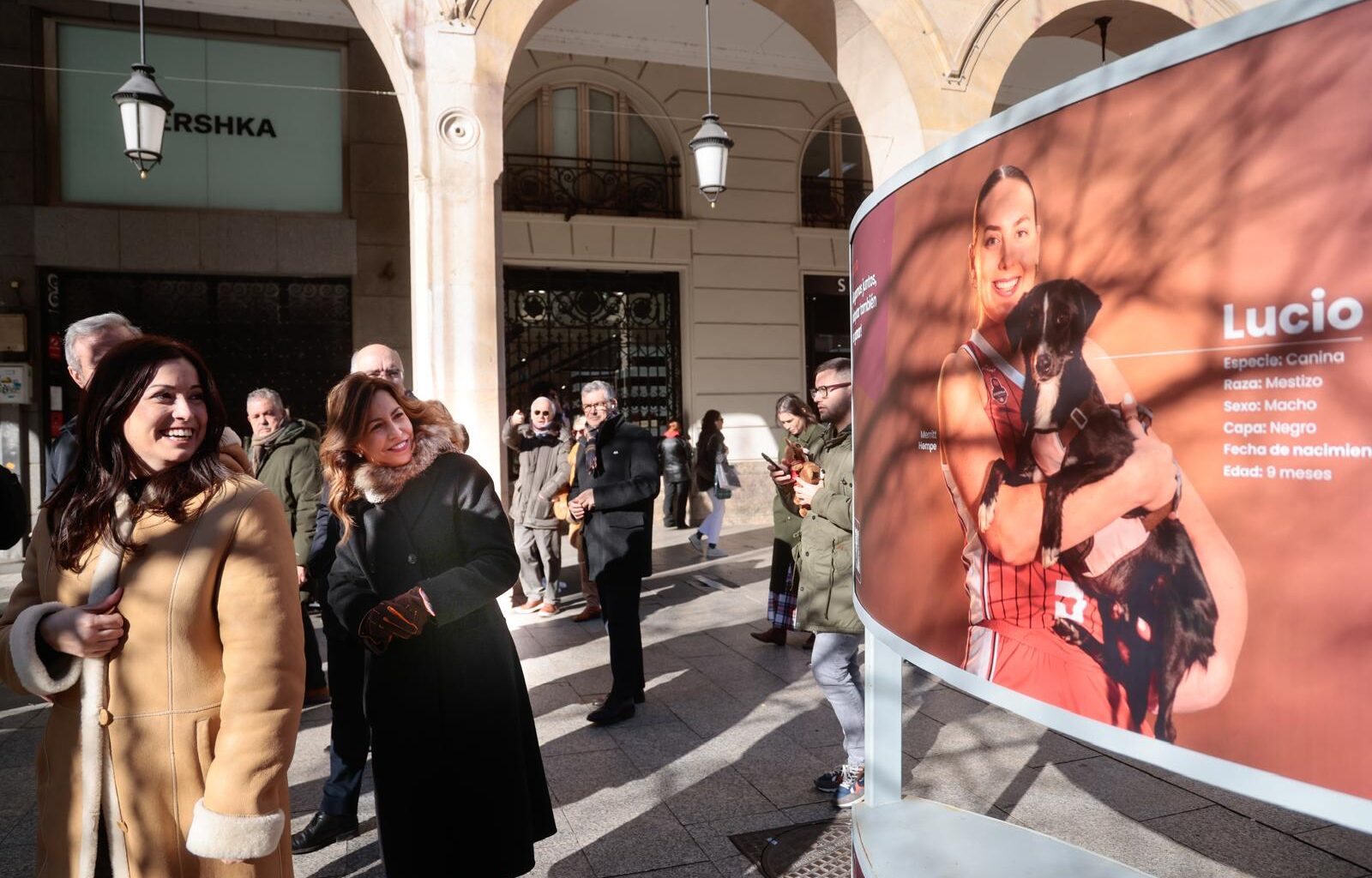 Pulsa para ver la imagen en grande