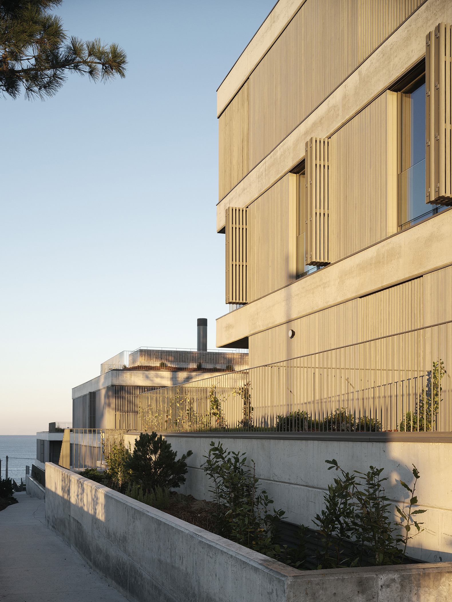 FOXOS by Carbajo Barrios. Photograph by Luis Díaz Díaz.