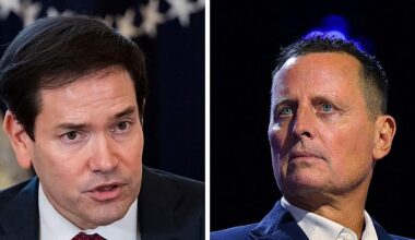 unos quieren petróleo y otros democracia