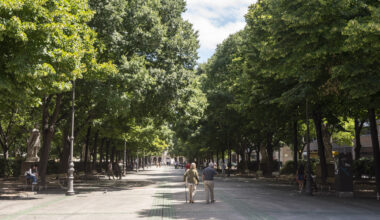 El miércoles comenzarán las labores de vallado y acopio de materiales y maquinaria para las obras de reurbanización del paseo de Sarasate
