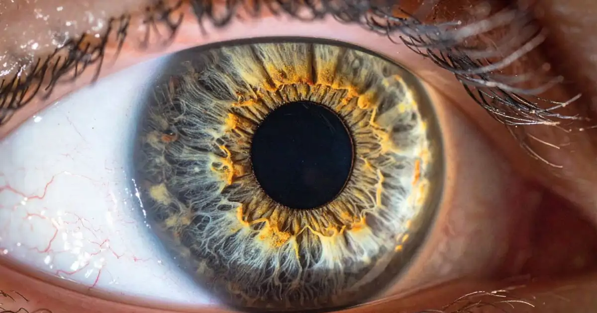 El "papel electrónico" podría dar paso a una realidad nunca antes vista por el ojo humano