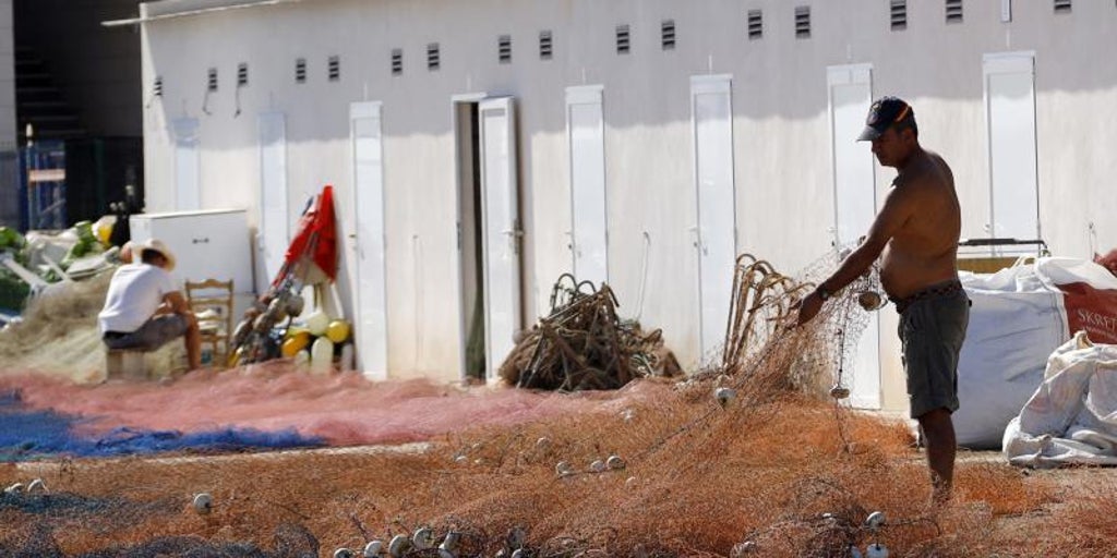 la Generalitat Valenciana denuncia las nuevas normas