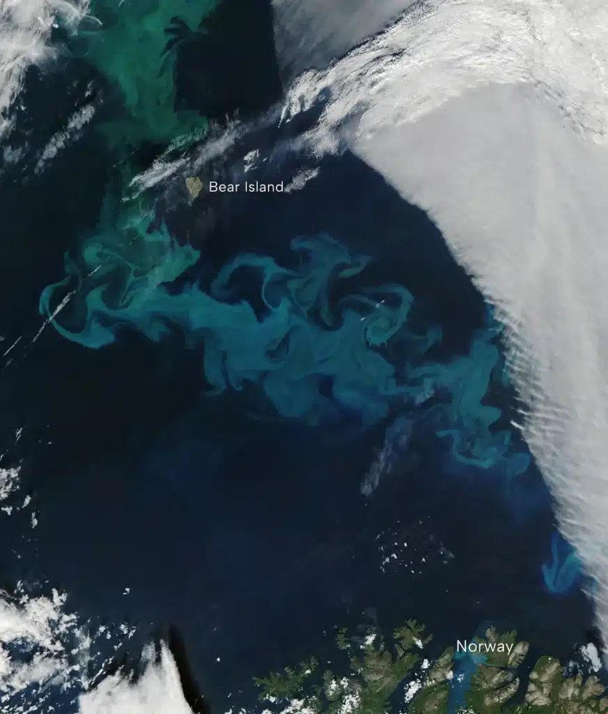 Observatorio de la Tierra de la NASA/Wanmei Liang, utilizando datos MODIS de NASA EOSDIS LANCE y GIBS/Worldview.