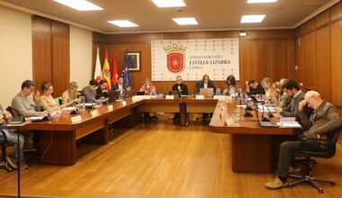 Resumen del pleno ordinario de hoy, 15 de enero - Ayuntamiento Estella-Lizarra Udala
