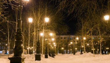 cuándo es más barata y más cara dentro del mercado mayorista