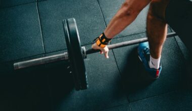 «propósitos de año nuevo», no «propósitos de Año Nuevo», alude a los de todo el año