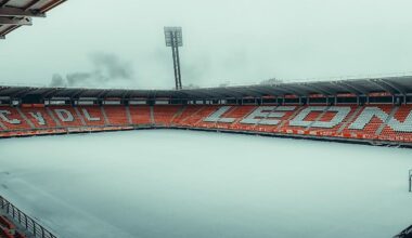 Así está hoy el césped del Reino de León