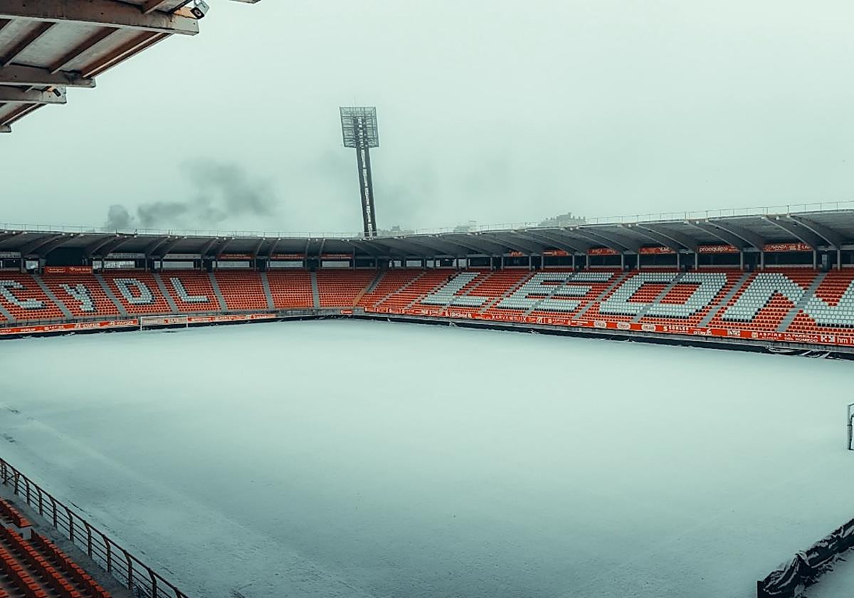 Así está hoy el césped del Reino de León