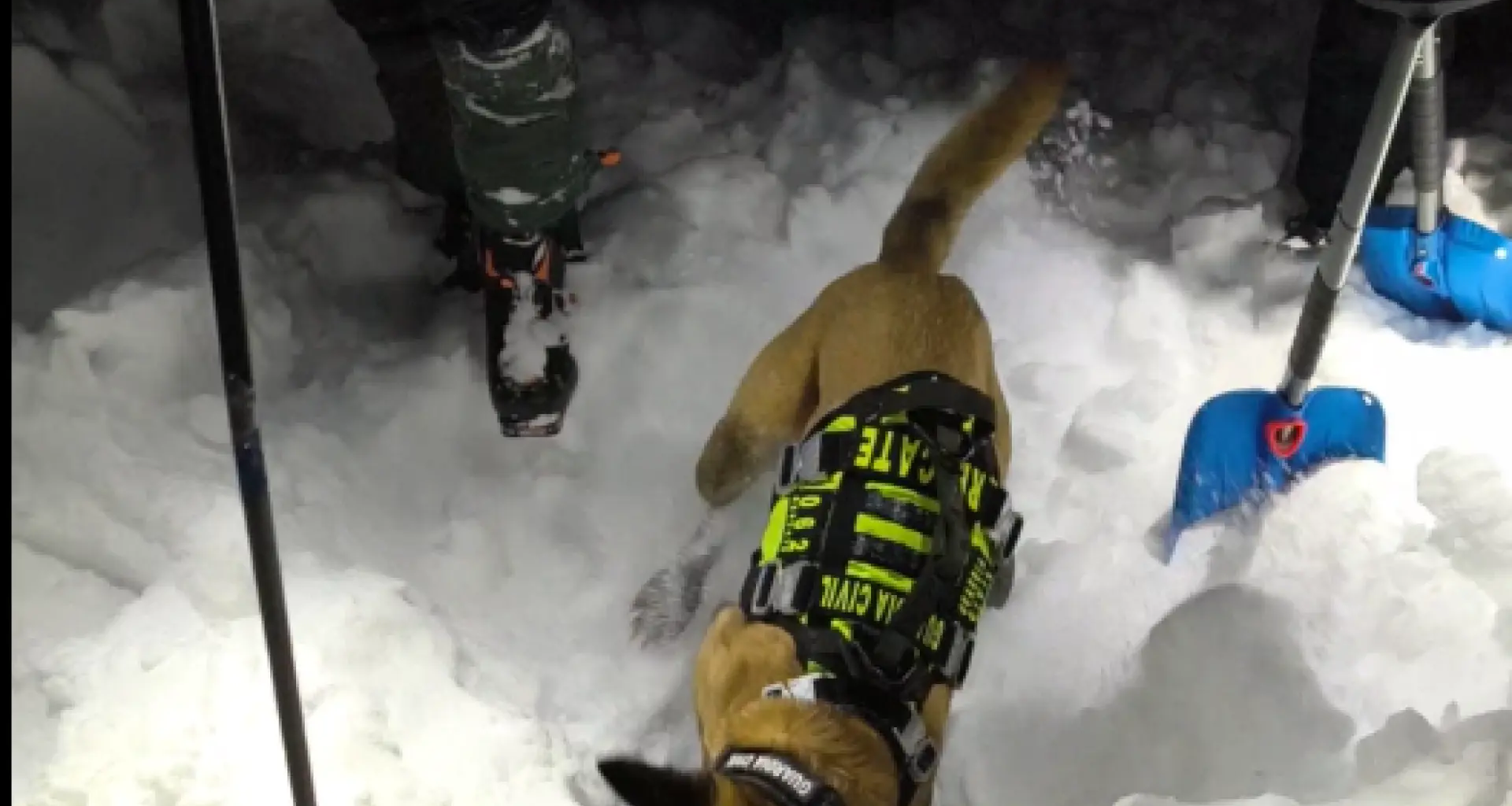El montañero muerto en Bielsa fue localizado por un perro de avalanchas bajo metro y medio de nieve