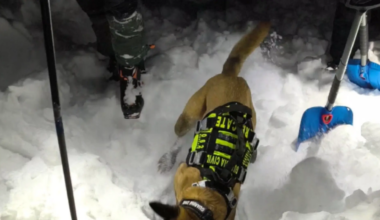 El montañero muerto en Bielsa fue localizado por un perro de avalanchas bajo metro y medio de nieve