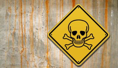 "Podemos tenerlo en casa ahora mismo"