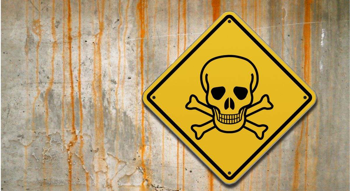 "Podemos tenerlo en casa ahora mismo"