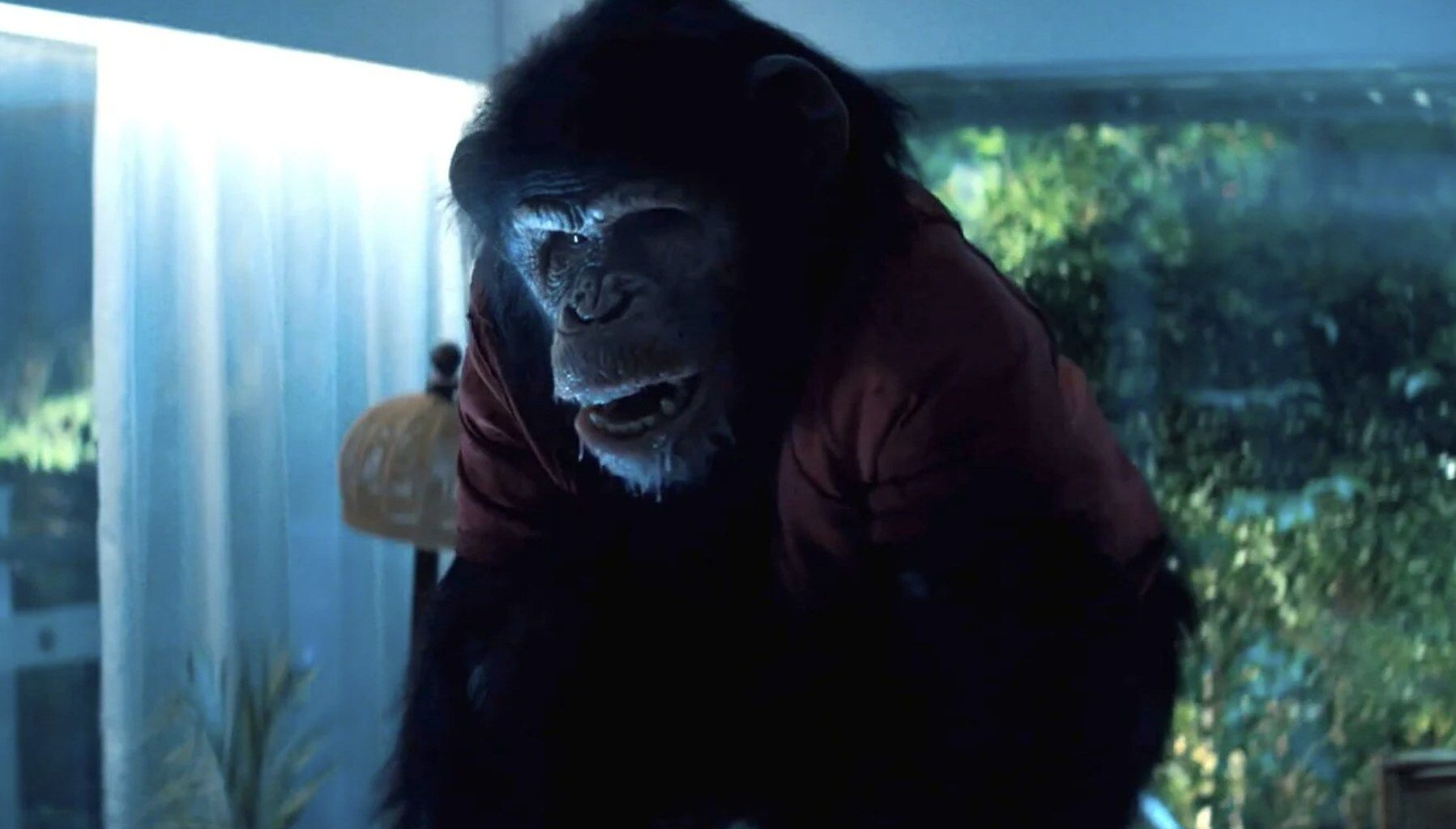 Taquilla USA: "Avatar 3" sigue al frente y "Primate" entra en el segundo puesto