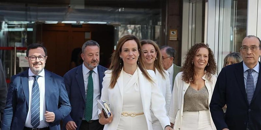 Vox acumula ya 25 bajas en los municipios de Madrid, tras la crisis abierta en Móstoles